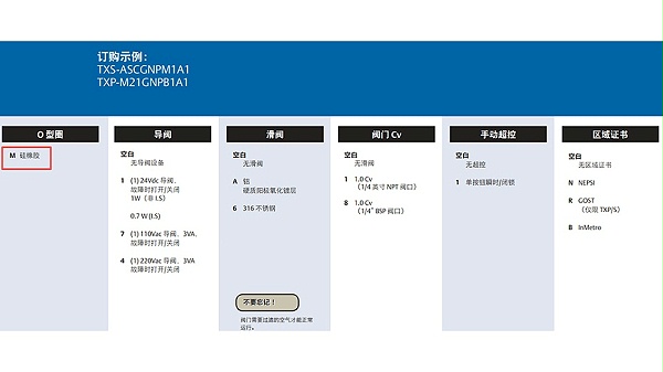 TOPWORX接近式阀门位置开关TXP-K2CGNEM.图2